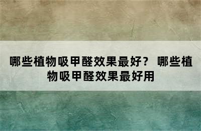 哪些植物吸甲醛效果最好？ 哪些植物吸甲醛效果最好用